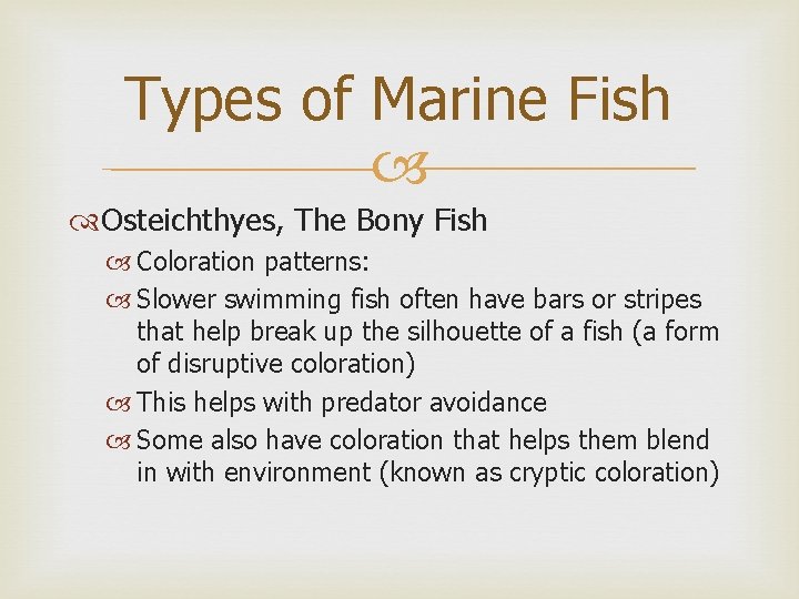 Types of Marine Fish Osteichthyes, The Bony Fish Coloration patterns: Slower swimming fish often