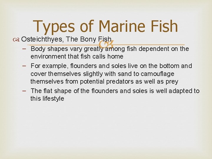 Types of Marine Fish Osteichthyes, The Bony Fish – Body shapes vary greatly among