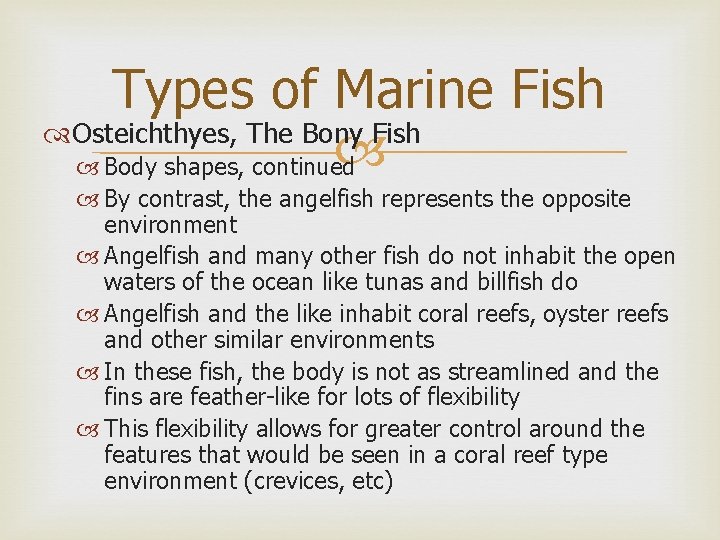 Types of Marine Fish Osteichthyes, The Bony Fish Body shapes, continued By contrast, the