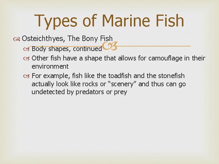 Types of Marine Fish Osteichthyes, The Bony Fish Body shapes, continued Other fish have