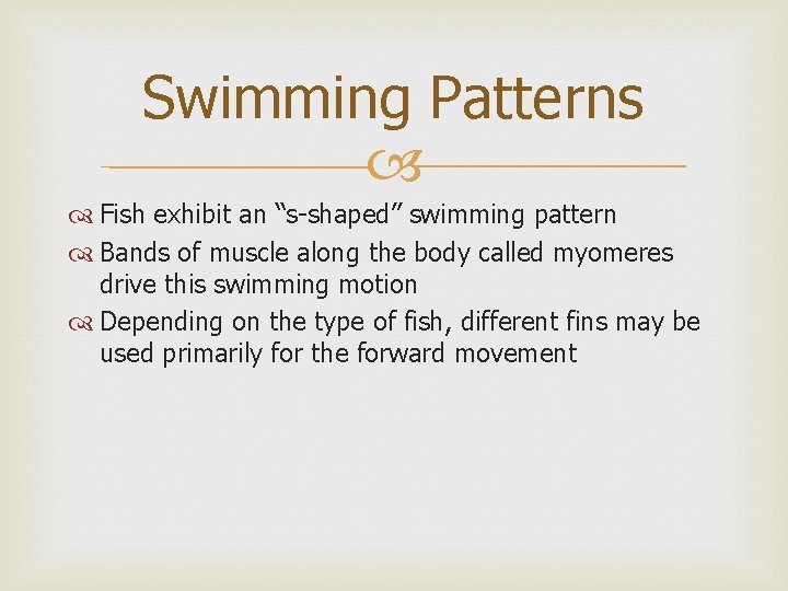 Swimming Patterns Fish exhibit an “s-shaped” swimming pattern Bands of muscle along the body