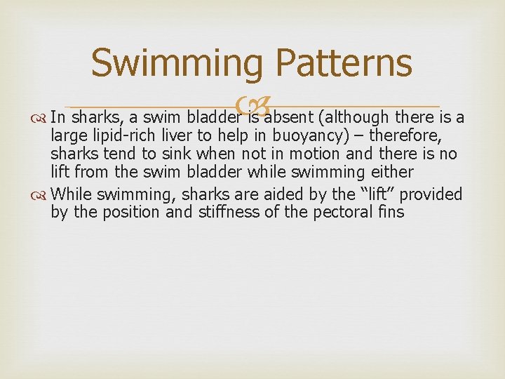 Swimming Patterns In sharks, a swim bladder is absent (although there is a large