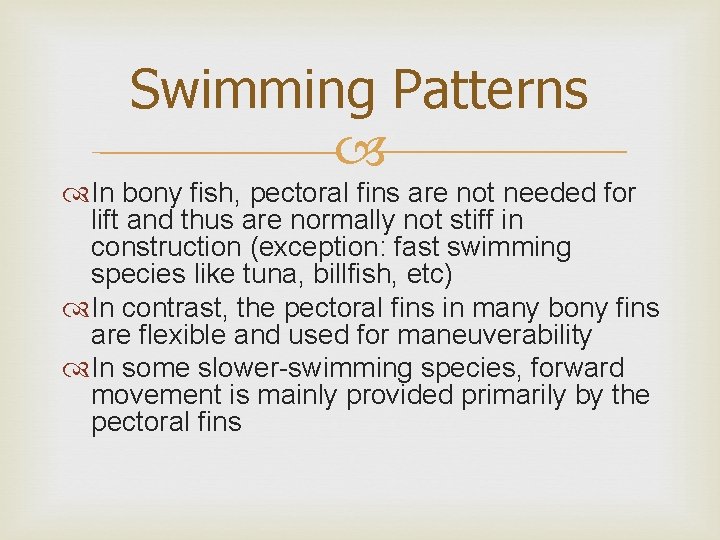 Swimming Patterns In bony fish, pectoral fins are not needed for lift and thus