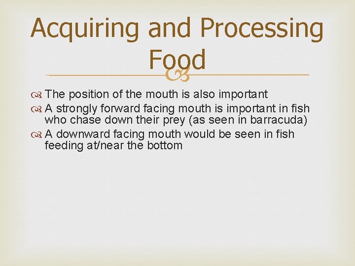 Acquiring and Processing Food The position of the mouth is also important A strongly