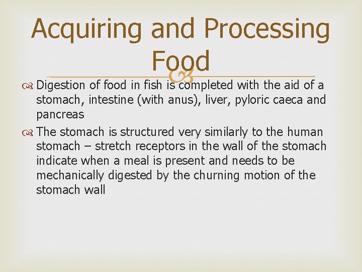 Acquiring and Processing Food Digestion of food in fish is completed with the aid