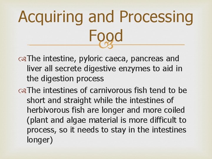 Acquiring and Processing Food The intestine, pyloric caeca, pancreas and liver all secrete digestive