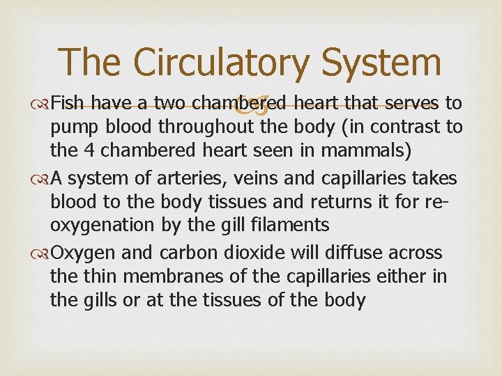 The Circulatory System Fish have a two chambered heart that serves to pump blood