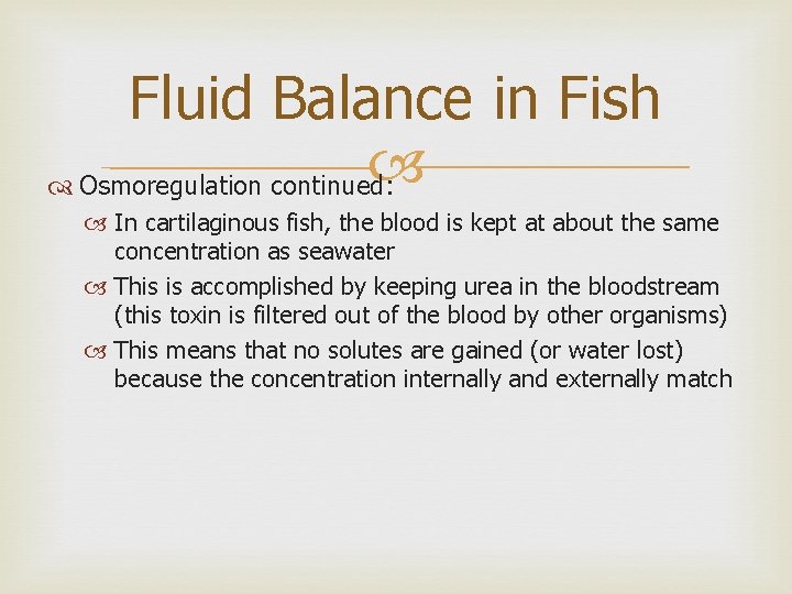 Fluid Balance in Fish Osmoregulation continued: In cartilaginous fish, the blood is kept at