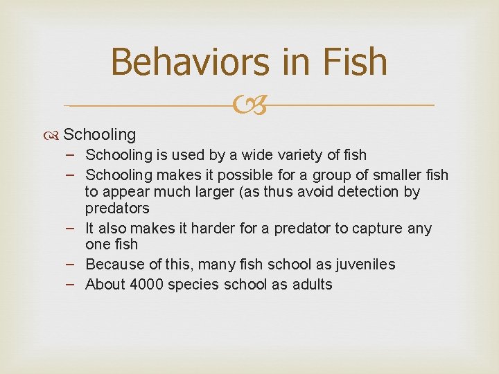 Behaviors in Fish Schooling – Schooling is used by a wide variety of fish