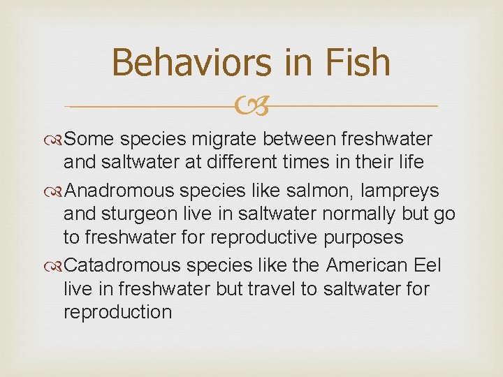 Behaviors in Fish Some species migrate between freshwater and saltwater at different times in