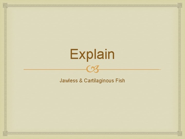 Explain Jawless & Cartilaginous Fish 