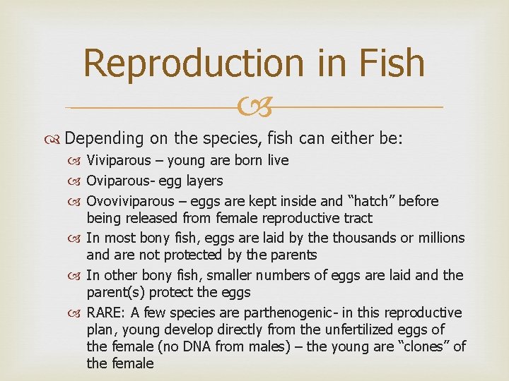 Reproduction in Fish Depending on the species, fish can either be: Viviparous – young