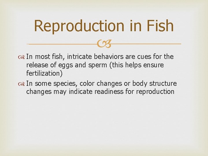 Reproduction in Fish In most fish, intricate behaviors are cues for the release of