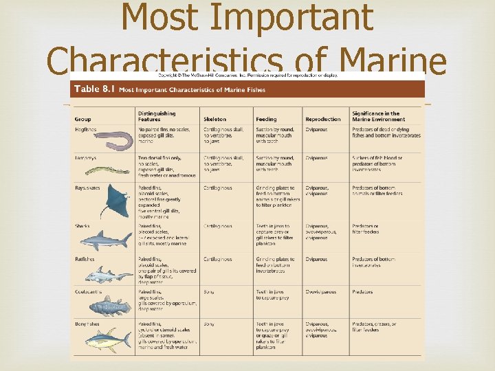 Most Important Characteristics of Marine Fish 