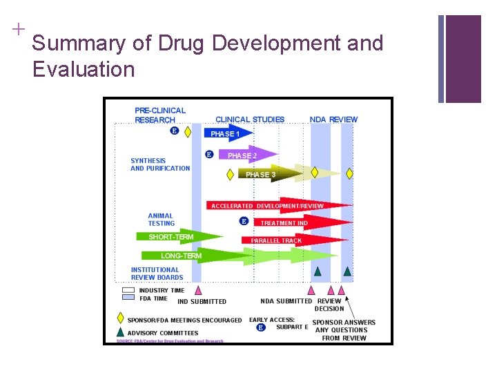 + Summary of Drug Development and Evaluation 