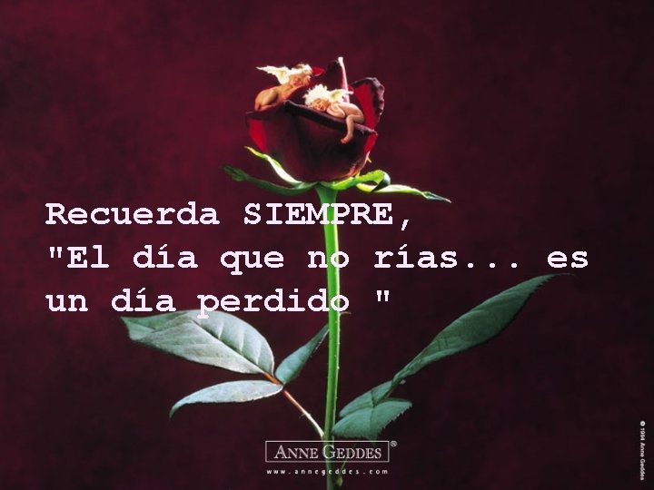 Recuerda SIEMPRE, "El día que no rías. . . es un día perdido "