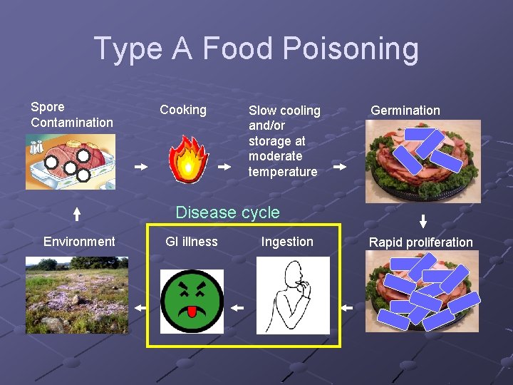 Type A Food Poisoning Spore Contamination Cooking Slow cooling and/or storage at moderate temperature