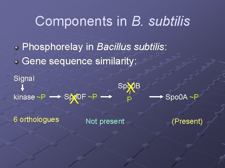 Components in B. subtilis Phosphorelay in Bacillus subtilis: Gene sequence similarity: Signal 6 orthologues