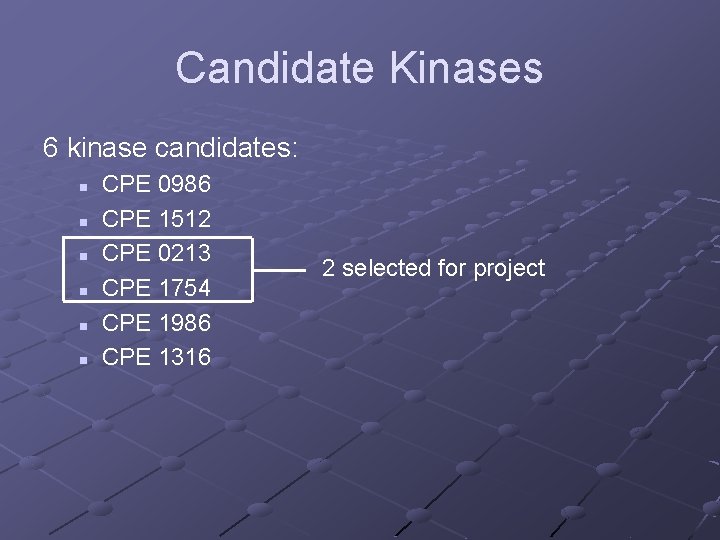 Candidate Kinases 6 kinase candidates: n n n CPE 0986 CPE 1512 CPE 0213