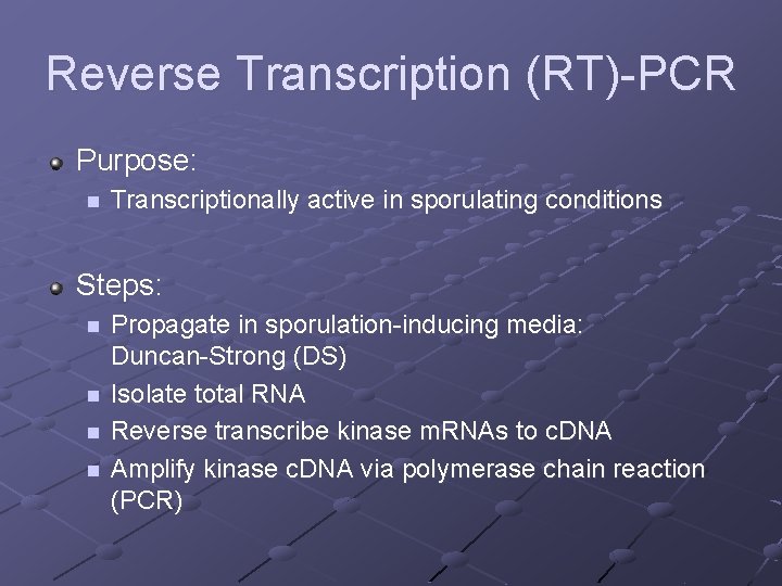 Reverse Transcription (RT)-PCR Purpose: n Transcriptionally active in sporulating conditions Steps: n n Propagate