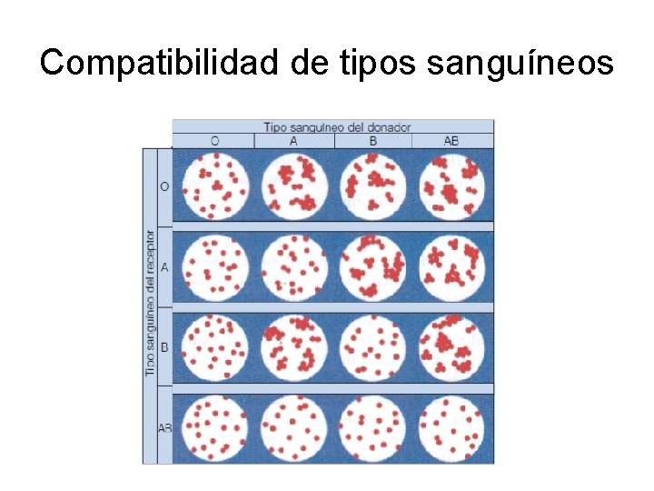 Compatibilidad de tipos sanguíneos 