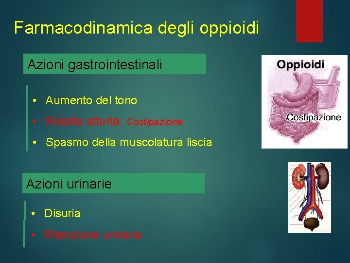 Farmacodinamica degli oppioidi Azioni gastrointestinali • Aumento del tono • Ridotta attività: Costipazione •