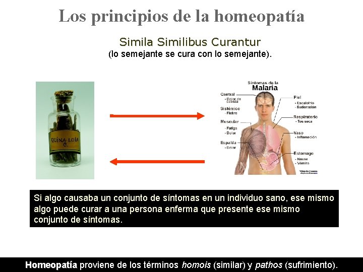 Los principios de la homeopatía Similibus Curantur (lo semejante se cura con lo semejante).