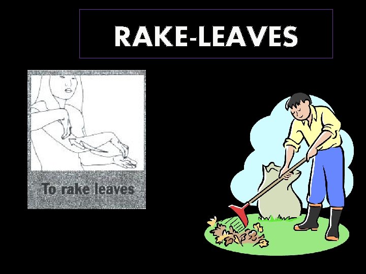 RAKE-LEAVES 