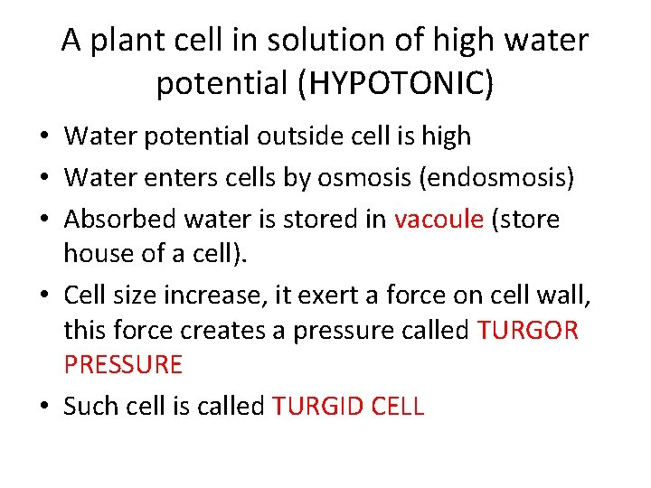 A plant cell in solution of high water potential (HYPOTONIC) • Water potential outside