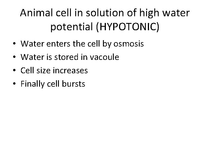 Animal cell in solution of high water potential (HYPOTONIC) • • Water enters the