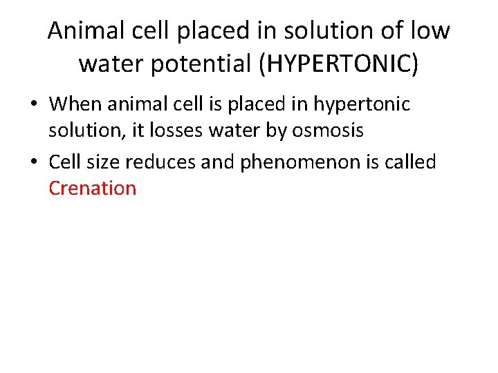 Animal cell placed in solution of low water potential (HYPERTONIC) • When animal cell