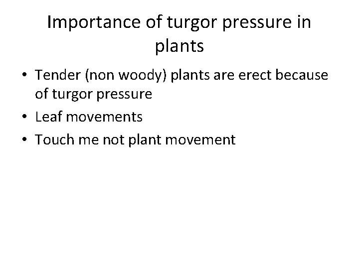 Importance of turgor pressure in plants • Tender (non woody) plants are erect because