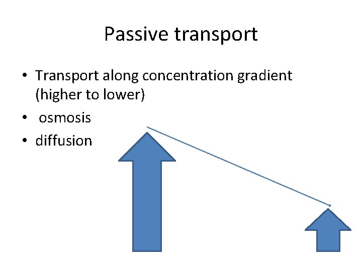 Passive transport • Transport along concentration gradient (higher to lower) • osmosis • diffusion