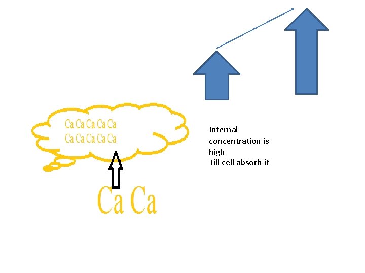 Internal concentration is high Till cell absorb it 