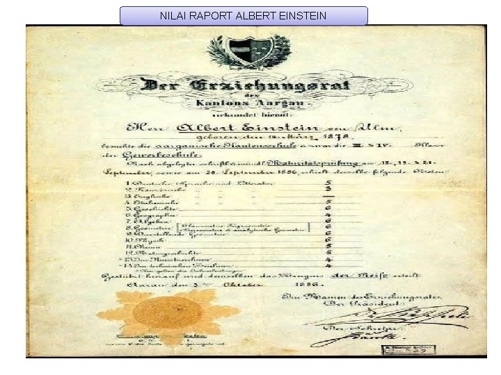 NILAI RAPORT ALBERT EINSTEIN 