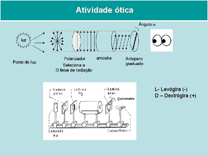 Atividade ótica L- Levógira (-) D – Dextrógira (+) 