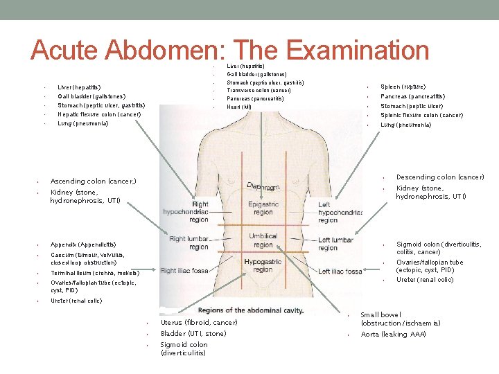 Acute Abdomen: The Examination • • • Liver (hepatitis) Gall bladder (gallstones) Stomach (peptic