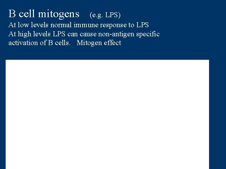 B cell mitogens (e. g. LPS) At low levels normal immune response to LPS