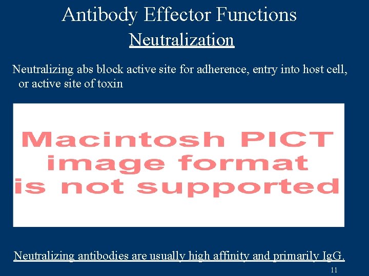 Antibody Effector Functions Neutralization Neutralizing abs block active site for adherence, entry into host