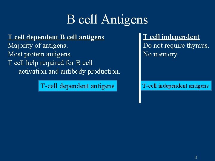 B cell Antigens T cell dependent B cell antigens Majority of antigens. Most protein