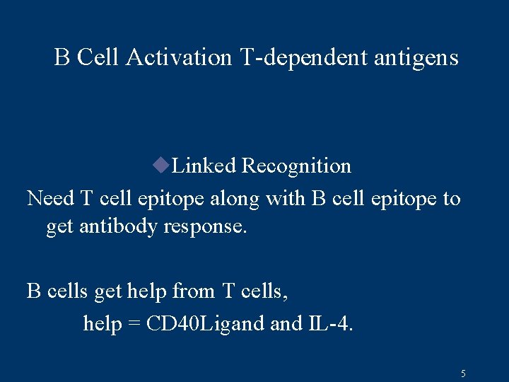 B Cell Activation T-dependent antigens u. Linked Recognition Need T cell epitope along with