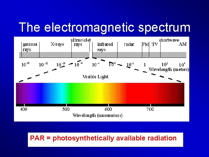 The electromagnetic spectrum PAR = photosynthetically available radiation 