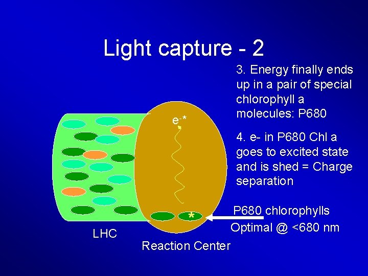 Light capture - 2 3. Energy finally ends up in a pair of special