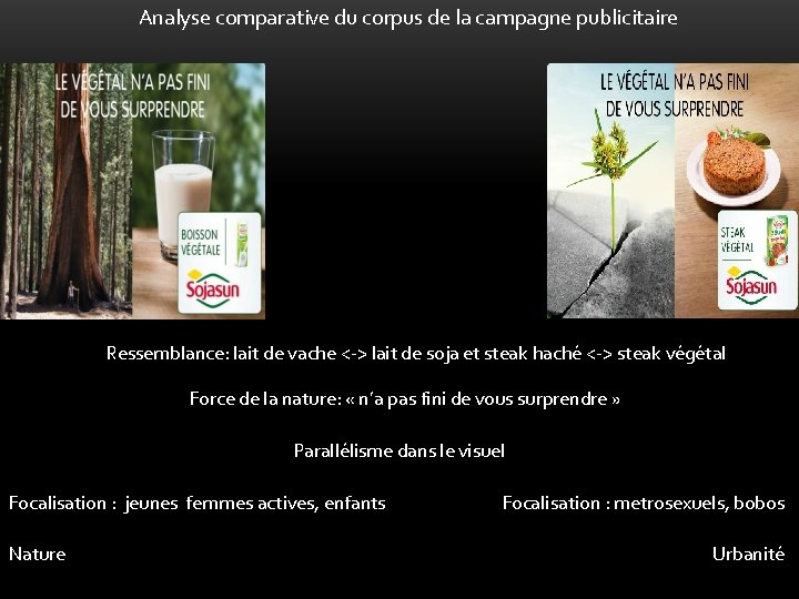 Analyse comparative du corpus de la campagne publicitaire Ressemblance: lait de vache <-> lait