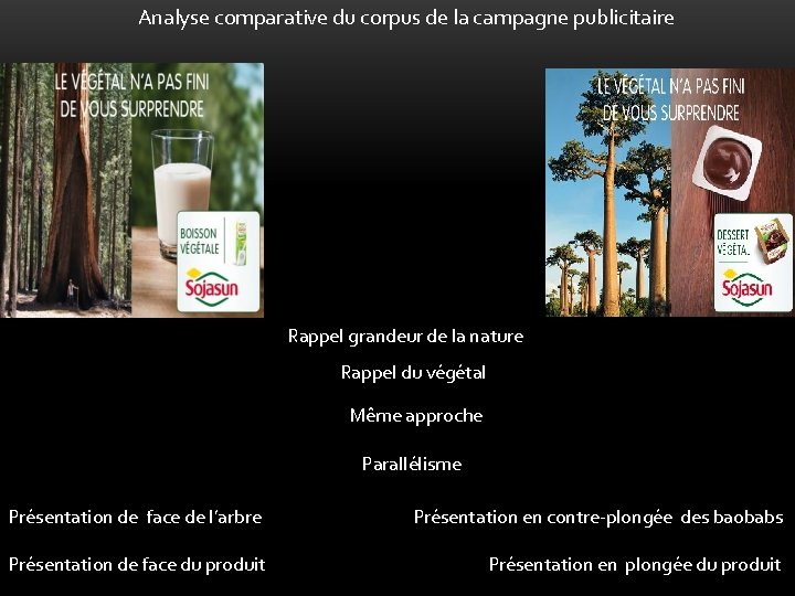 Analyse comparative du corpus de la campagne publicitaire Rappel grandeur de la nature Rappel