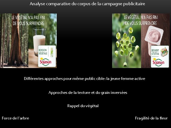 Analyse comparative du corpus de la campagne publicitaire Différentes approches pour même public cible: