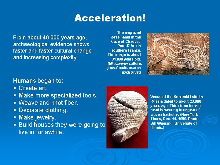 Acceleration! From about 40, 000 years ago, archaeological evidence shows faster and faster cultural