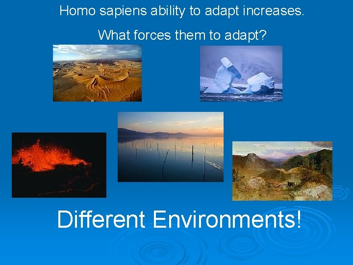 Homo sapiens ability to adapt increases. What forces them to adapt? Different Environments! 