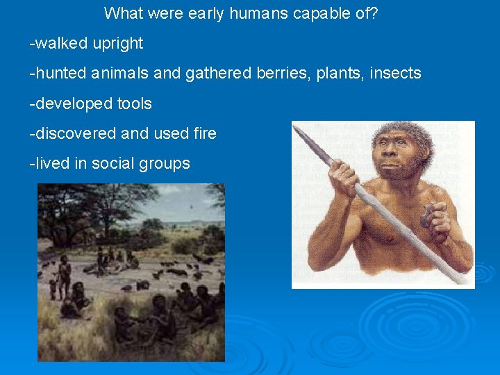 What were early humans capable of? -walked upright -hunted animals and gathered berries, plants,