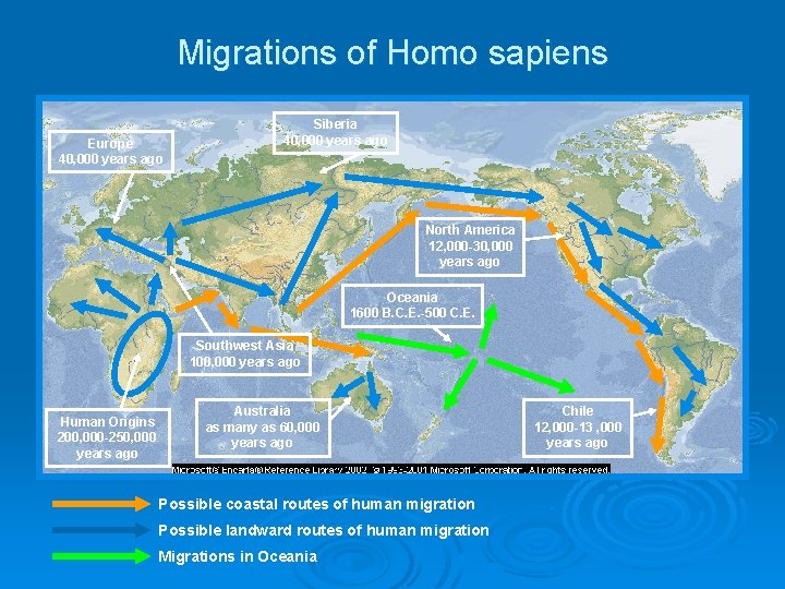 Migrations of Homo sapiens Europe 40, 000 years ago Siberia 40, 000 years ago